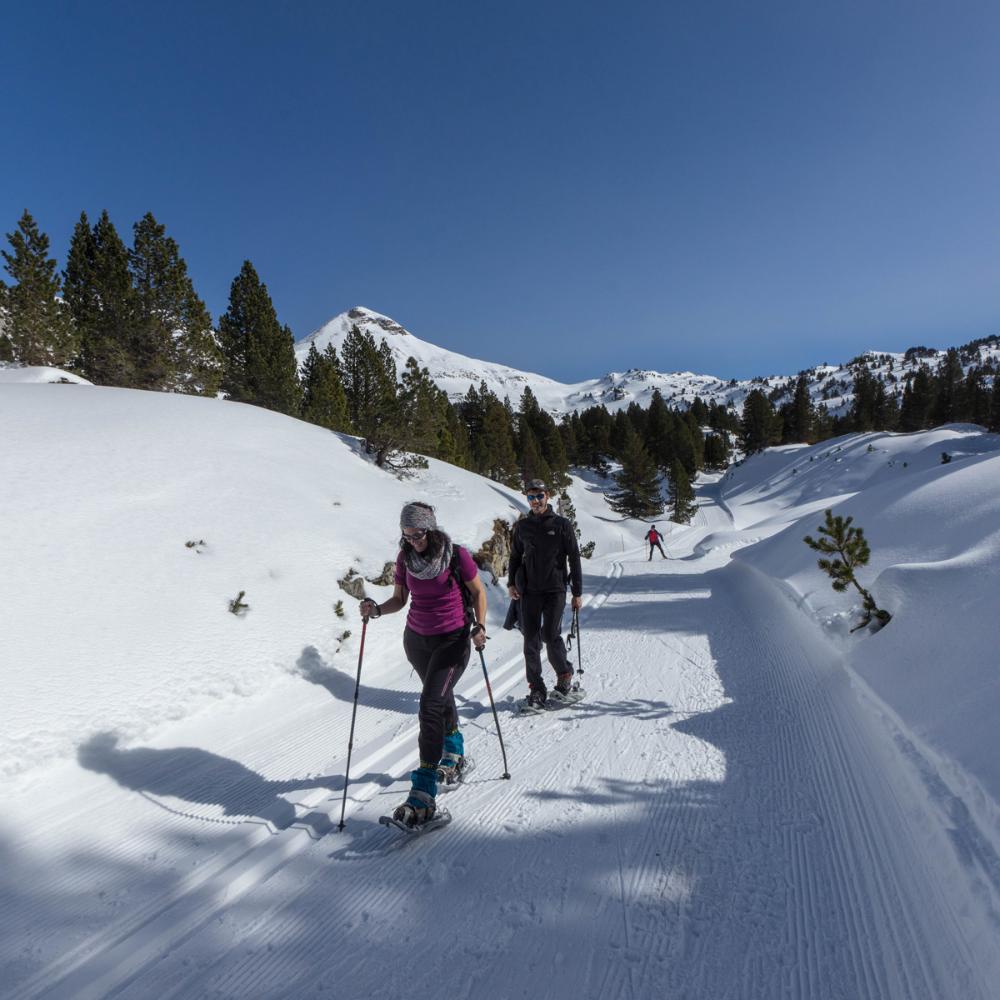 gente andando con raquetas de nieve